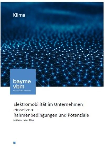 Elektromobilität im Unternehmen einsetzen – Rahmenbedingungen und Potenziale